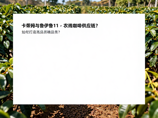 卡蒂姆与鲁伊鲁11,低农残咖啡供应链如何打造高品质精品豆?