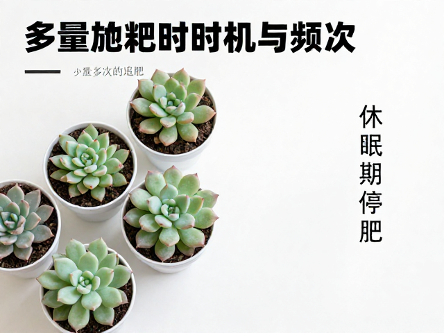 少量多次的操作细节
