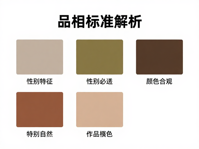 品相标准解析，性别特征准确与颜色过渡自然，打造高价值精品
