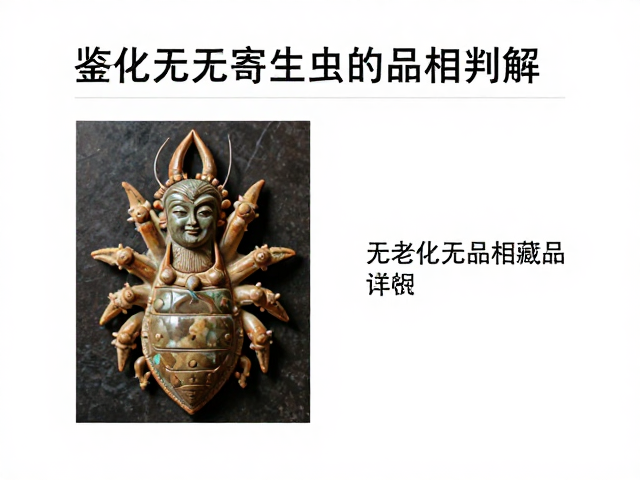 如何鉴别高品相藏品，无老化无寄生虫的品相标准详解