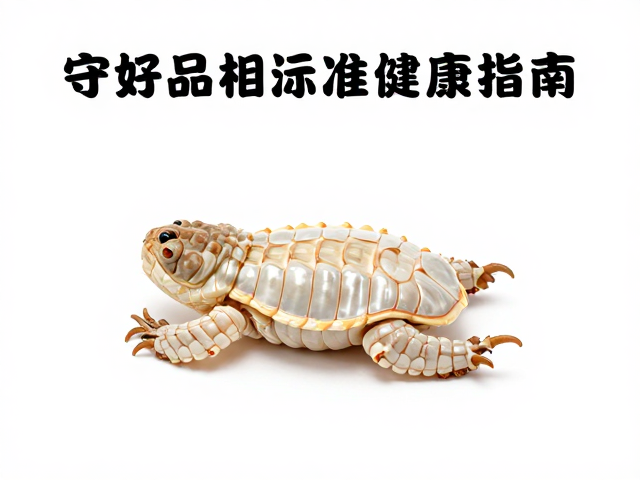 守好品相标准，蜕皮周期正常且腹部无肿胀的健康指南