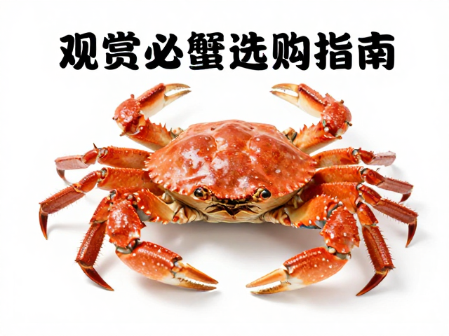 观赏蟹选购指南，品相标准与颜色均匀度解析，为何雄性步足更长更美观