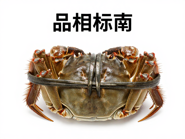 品相标准，腹部饱满圆润、步足展宽，挑选优质大闸蟹指南