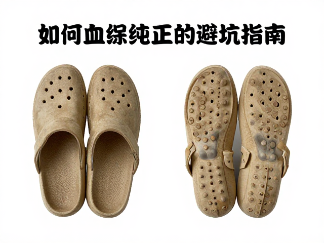 如何辨别品相标准？拒绝明显畸形，确保血统纯正可考的避坑指南