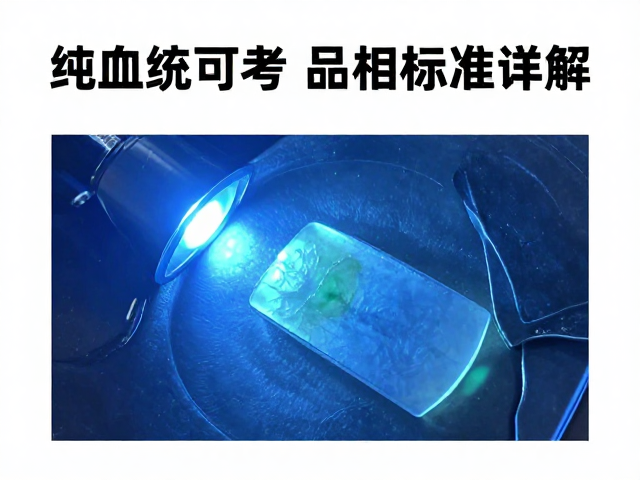 纯血统可考！高品相翡翠鉴定，金属蓝光强度与品相标准详解