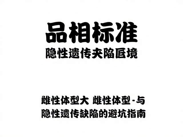 品相标准，雌性体型大与隐性遗传缺陷的避坑指南