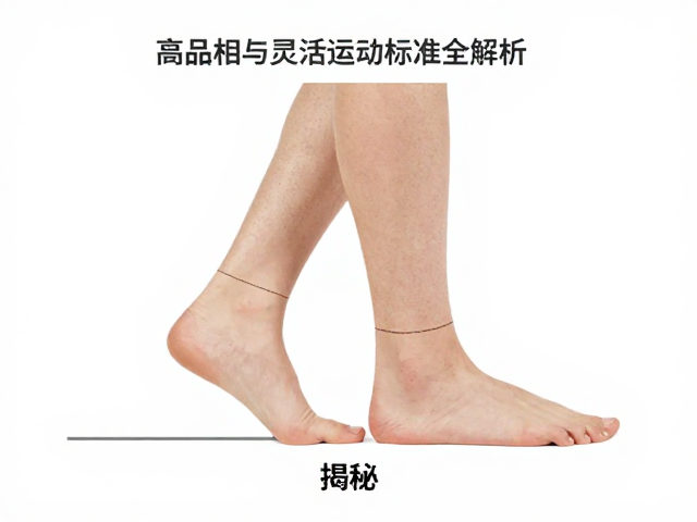 步足长度比例揭秘，高品相与灵活活动标准全解析