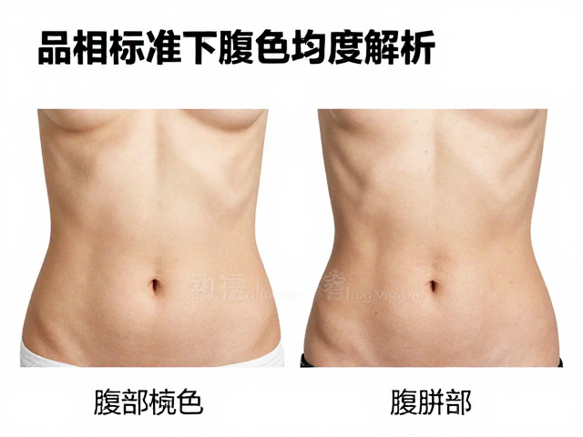 选购指南，品相标准下的腹部色泽与颜色均匀度解析