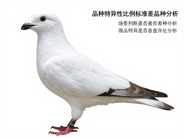 步足长度比例与品相标准，如何精准判断是否符合品种标准？