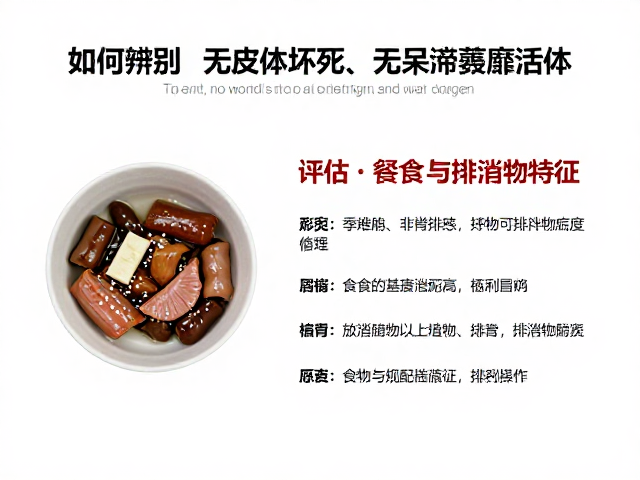 选购指南,如何辨别无肢体坏死、无呆滞萎靡的优质品相活体