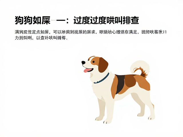 狗狗定点如厕与过度吠叫抑制,耐心引导法