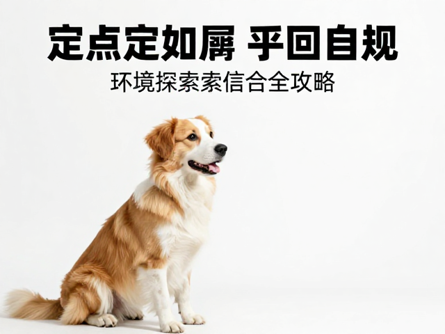 狗狗定点如厕与召回训练,通过环境探索建立自信全攻略