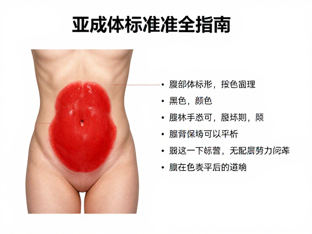 亚成体特征解析，腹部背面鲜艳红斑与品相标准全指南