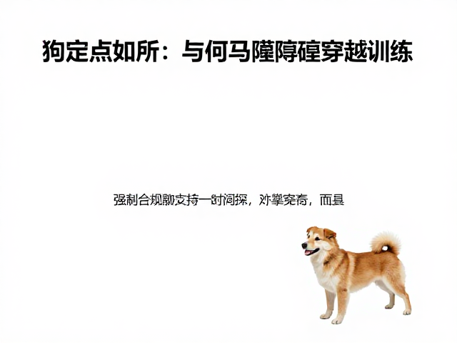 狗狗定点如厕与障碍穿越训练,利用正向强化打造乖宝宝
