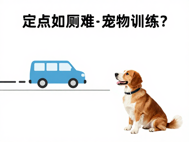 定点如厕难?结合正向强化与运输工具适应,轻松搞定宠物训练