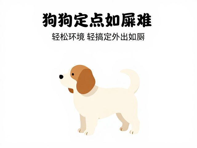 狗狗定点如厕难？3步训练法，安静环境适应，轻松搞定外出如厕