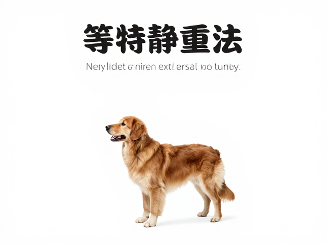定点如厕训练,利用等待静止法,快速塑造狗狗好习惯