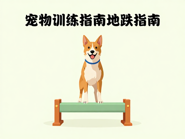 宠物训练指南,定点如厕、主动社交与跳跃障碍突破