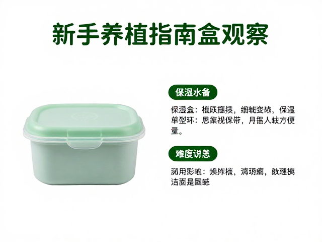 新手养植指南,保湿盒使用与活跃度观察入门难度解析