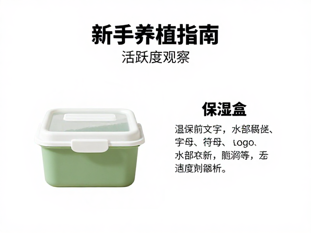 新手养植指南，保湿盒使用与活跃度观察入门难度解析