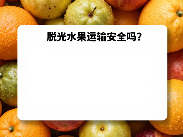 脱水水果运输安全吗？新手入门指南与选购避坑