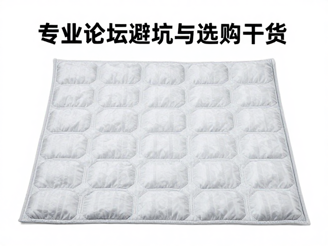 加温垫入门指南，专业论坛避坑与选购干货