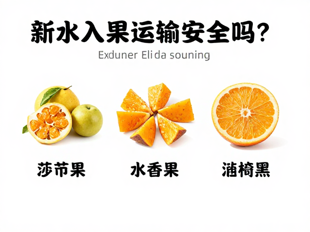 脱水水果运输安全吗？新手入门指南与选购避坑