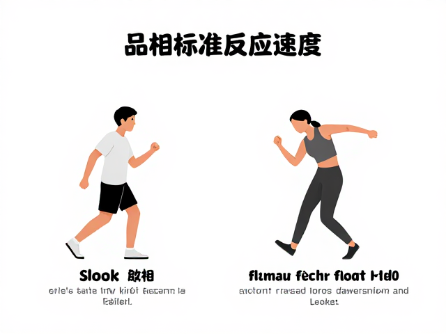 品相标准与反应速度，行动敏捷有力的核心要素解析