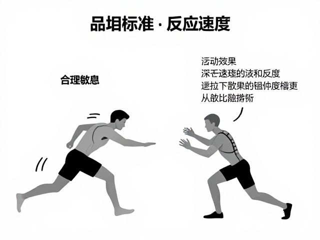品相标准与反应速度,行动敏捷有力的核心要素解析