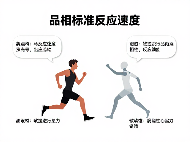 品相标准与反应速度,行动敏捷有力的核心要素解析
