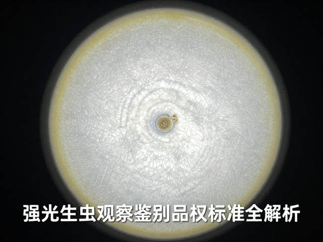 无寄生虫痕迹，强光手电观察鉴别品相标准全解析