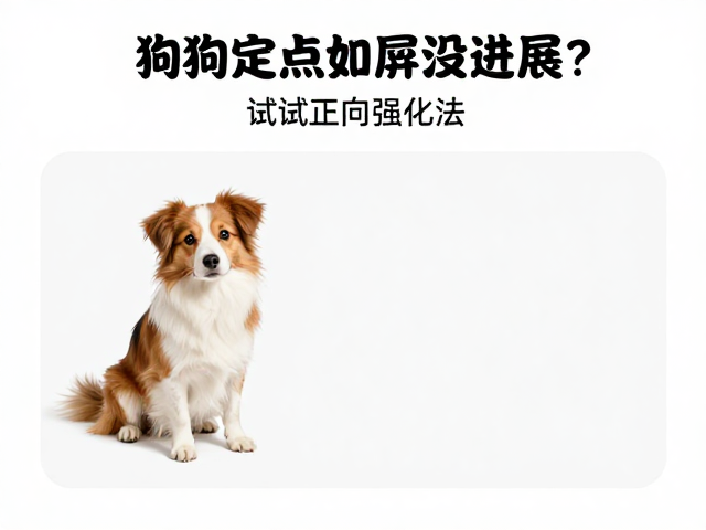 狗狗定点如厕没进展？试试正向强化法，3步养成好习惯