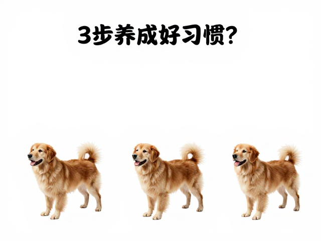 狗狗定点如厕难？结合障碍穿越与一致性指令，3步养成好习惯