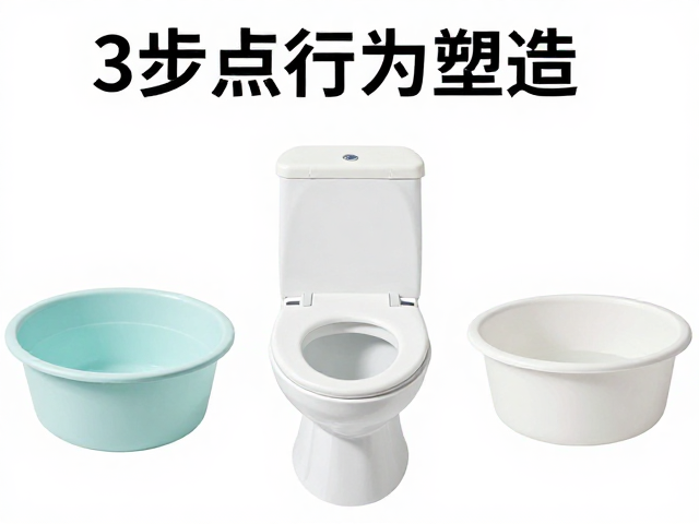 定点如厕难?3步行为塑造,运输工具适应,轻松搞定宠物习惯