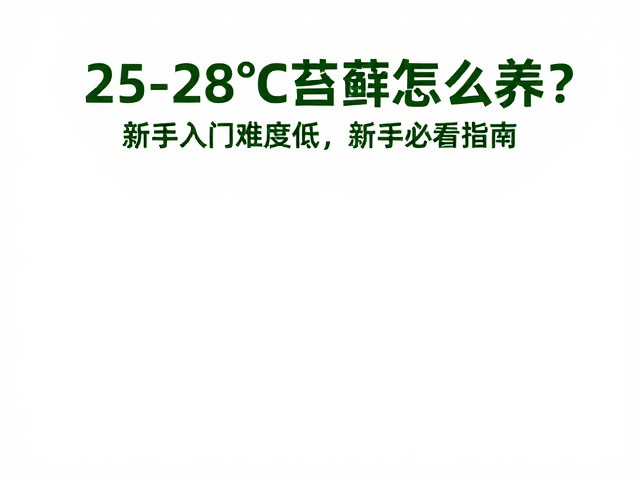 25-28℃苔藓怎么养？新手入门难度低，新手必看指南