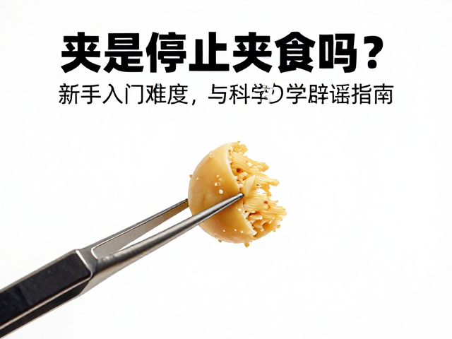 镊子夹食是停止进食吗？新手入门难度与科学辟谣指南