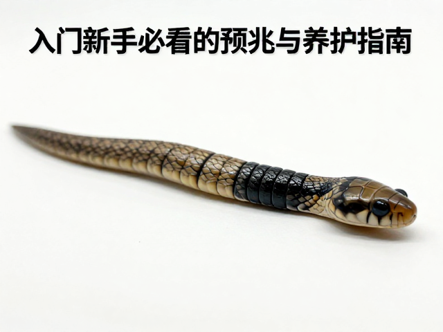 蛇蜕皮前腹部变黑?入门新手必看的预兆与养护指南