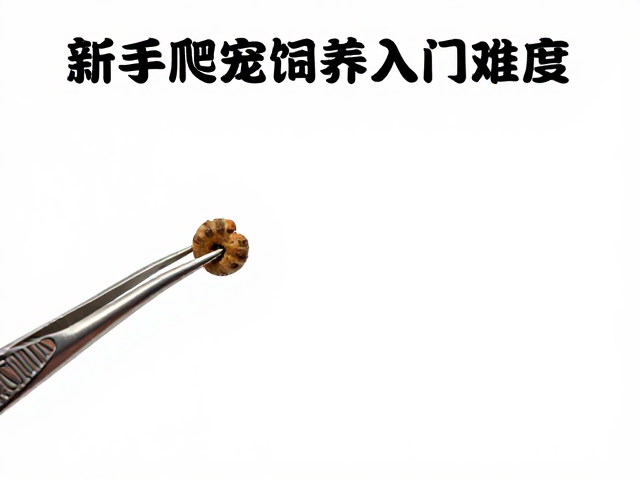长镊喂食频率与入门难度，新手爬宠饲养避坑指南