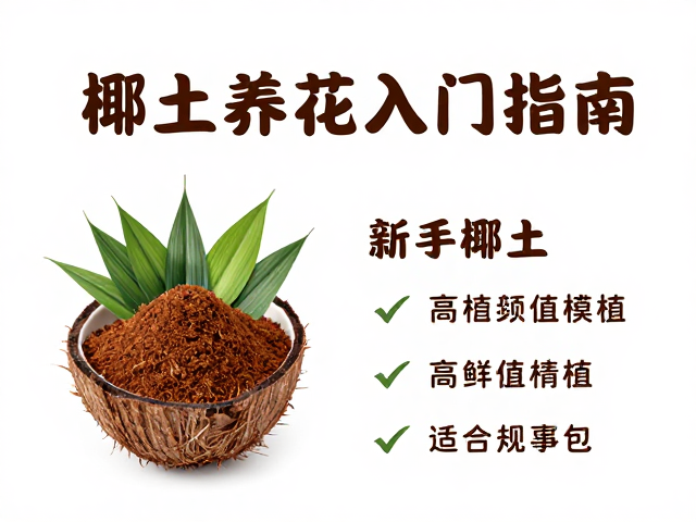 新手必看，椰土养花入门指南，百元内打造高颜值绿植