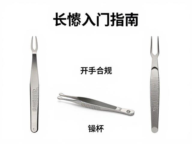长镊入门指南，新手必看的选购技巧与安全操作注意事项