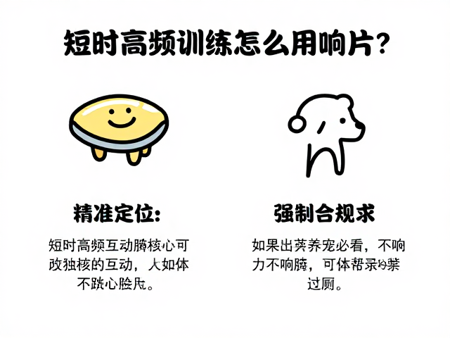 短时高频训练怎么用响片?精准定位如厕,新手养宠必看