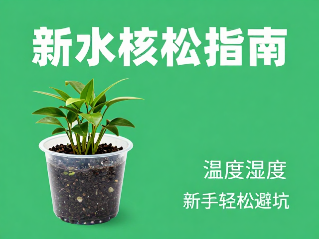 小水盆养植入门，温湿度控制指南，新手轻松避坑