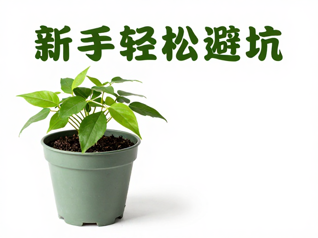 小水盆养植入门，温湿度控制指南，新手轻松避坑