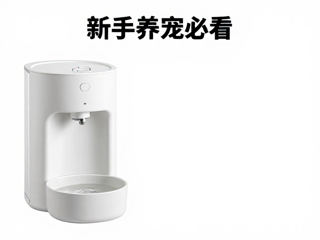 新手养宠必看,食盆选购与静止休息区布置指南