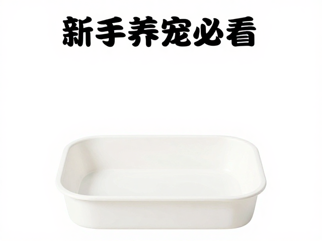 新手养宠必看,食盆选购与静止休息区布置指南