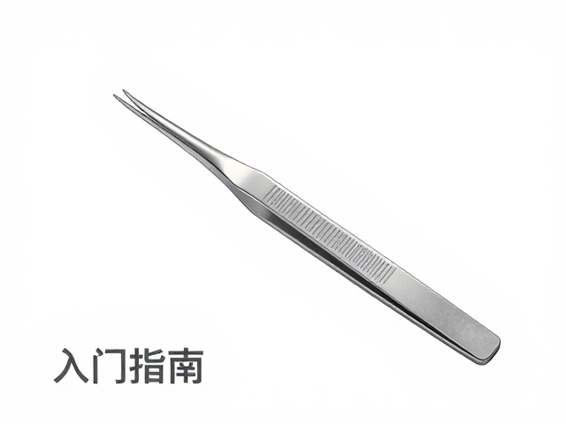 长镊入门指南，新手必看的探索行为与操作技巧