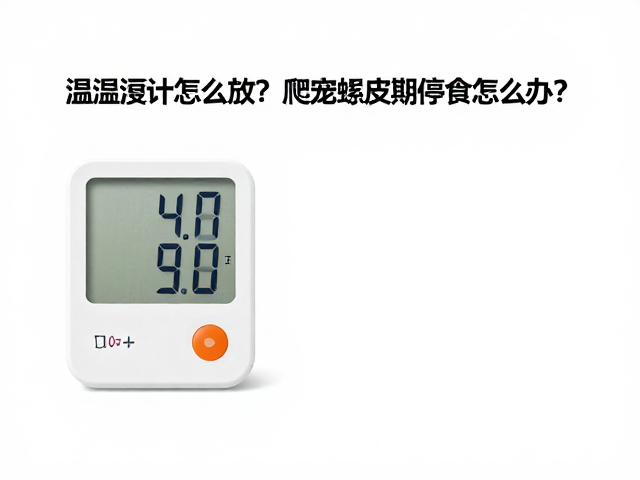 温湿度计怎么放？爬宠蜕皮期停食怎么办？新手避坑指南