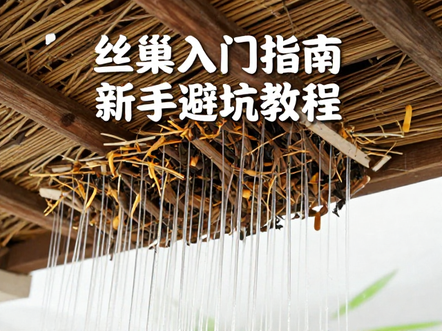 丝巢入门指南，湿度过大怎么办？新手避坑教程