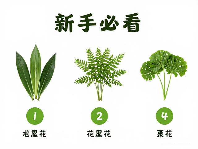 新手必看，植物装饰入门难度与脱水处理指南