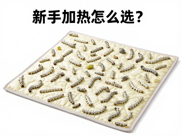 新手入门指南，加热垫怎么选？蚕宝宝吐丝前需注意什么？